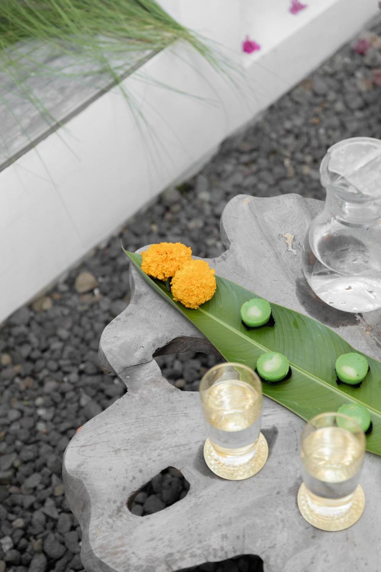 Homestay Tropius